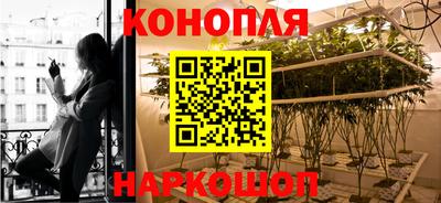 PSILOCYBIN Пугачёв