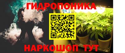 PSILOCYBIN Пугачёв