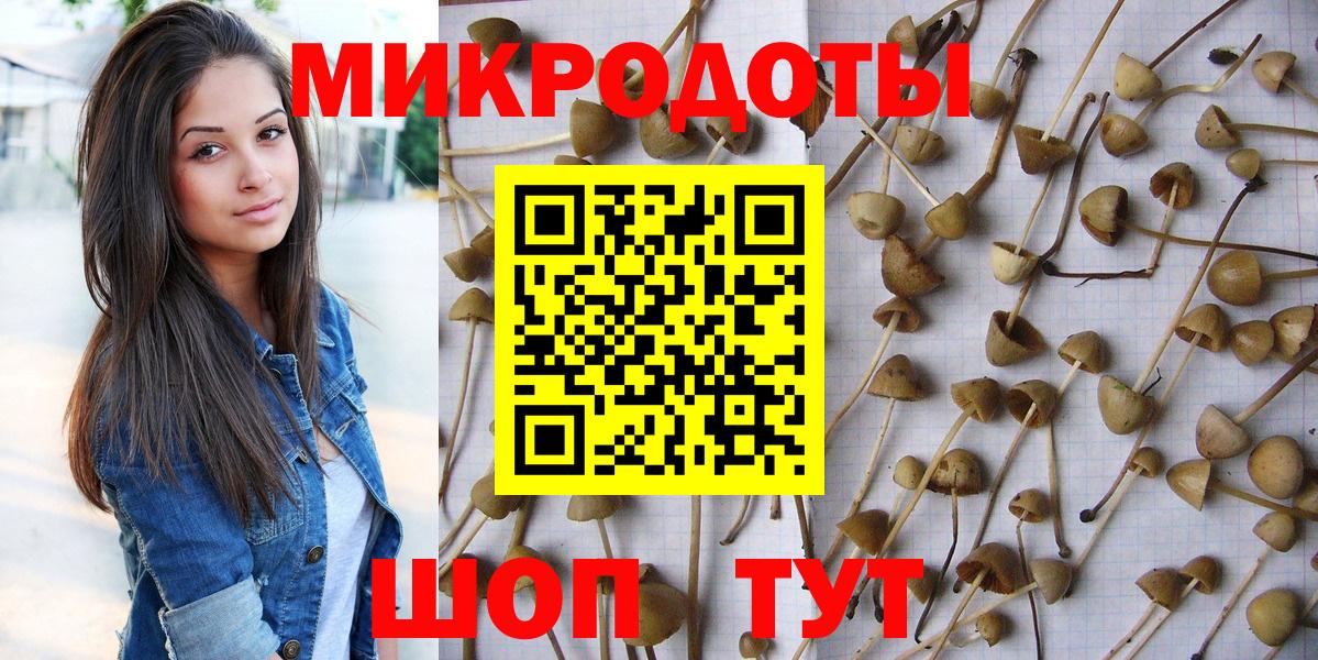 Псилоцибиновые грибы GOLDEN TEACHER  Вход с VPN  Трёхгорный 